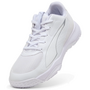 Puma Accelerate 4 JR Indoor Handball Hallenschuhe Sportschuhe weiss/silber 108443-02