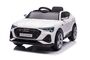 Audi E-Tron Kinder Elekto auto Kinderauto Kinderfahrzeug Kinder Elektroauto 