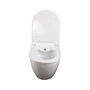 Wand Dusch WC Taharet Bidet-Funkt Taharat randlos Warmwasser Anschluss