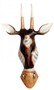 Maske Antilope 50 cm - mit H�rner 70 cm, Holz-Maske aus Bali, Wandmaske 