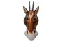 Wandmaske in 3 Motiven, Zebra, Antilope und Giraffe, 20 cm