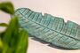 Dekoschale Blatt aus Albesia-Holz T�rkis Wash 40 oder 60 cm