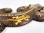 Deko-Gekko MANIS, Holz, natur, verziert, Wandschmuck