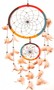 Traumf�nger - Dreamcatcher in Rasta-Farben  22 cm 