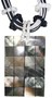 Halskette mit Muschelanh�nger, Modeschmuck, Natur-Schmuck mit Muschel 