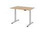 Elektrisch h�henverstellbarer Schreibtisch | B/T 1200x800 mm