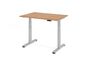 Elektrisch h�henverstellbarer Schreibtisch | B/T 1200x800 mm