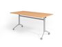 Klapptisch | Fahrbar | B/T/H 1600x800x750 mm 