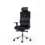 Ergonomischer B�rostuhl | Kopfst�tze | Lordosenst�tze