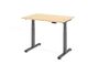 Elektrisch h�henverstellbarer Schreibtisch | B/T 1200x800 mm