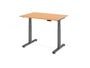 Elektrisch h�henverstellbarer Schreibtisch | B/T 1200x800 mm