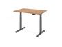 Elektrisch h�henverstellbarer Schreibtisch | B/T 1200x800 mm