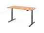 Elektrisch h�henverstellbarer Schreibtisch | B/T 1600x800 mm