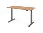 Elektrisch h�henverstellbarer Schreibtisch | B/T 1600x800 mm