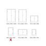 Gefahrstoffschrank | Umweltschrank BTH 460x460x900 mm