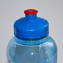 Trinkflasche 1,0 Ltr. mit Push&Pull-Verschluss, frei von Weichmachern und Bisphenol A