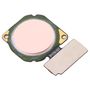 F�r Huawei P20 Lite Fingerprint Sensor Pink Flex Kabel Ersatzteil Reparatur Zubeh�r
