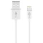 Apple Lightning Ladeset 1 A f�r Lightning Ger�te Wei� Charge Adapter Lade Kabel